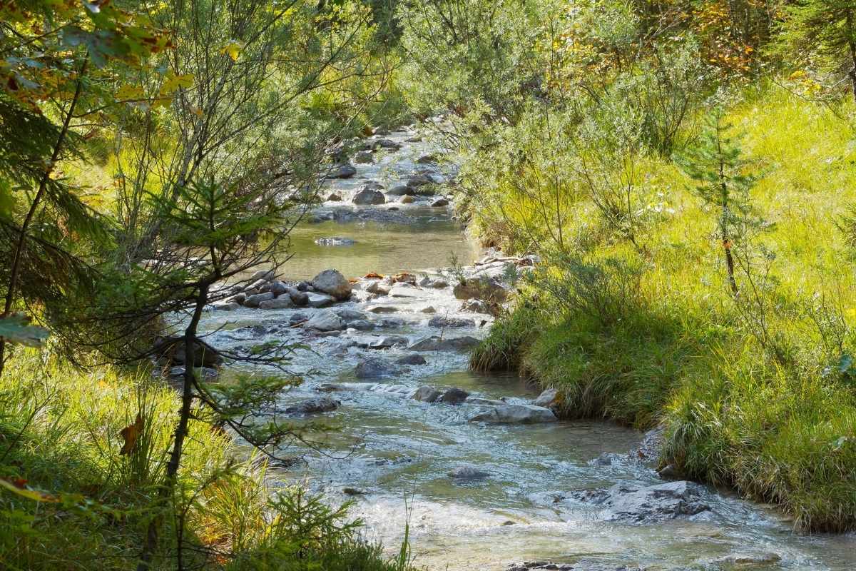 cay stream hidden gem