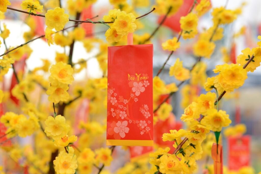 Lunar New Year In Da Nang 2026: How To Celebrate Tet Like A Local Illustrated of Lunar New Year In Da Nang